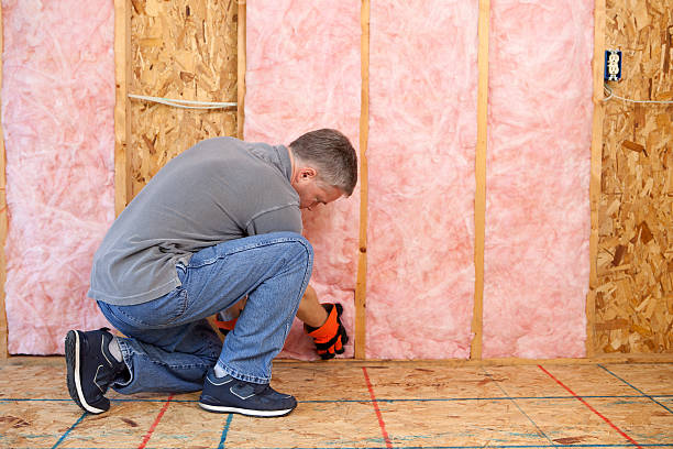 Best Commercial Insulation in Spanish Fork, UT